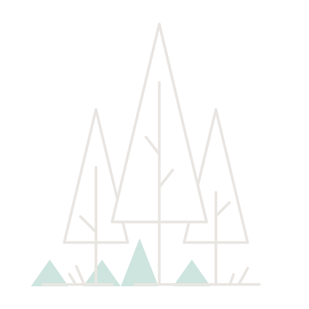 STRATEGIE IKonzeption I Umsetzug 